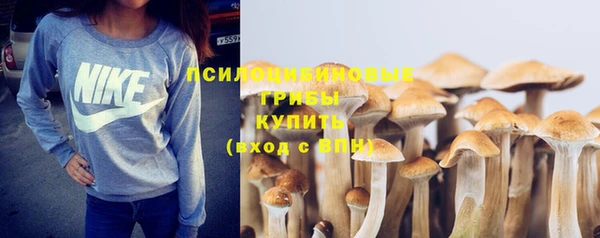 прущая мука Ладушкин