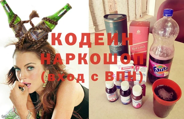 индика Рославль