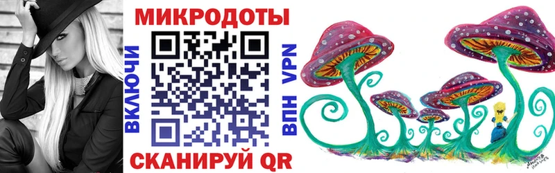 Галлюциногенные грибы Psilocybe  Кропоткин 
