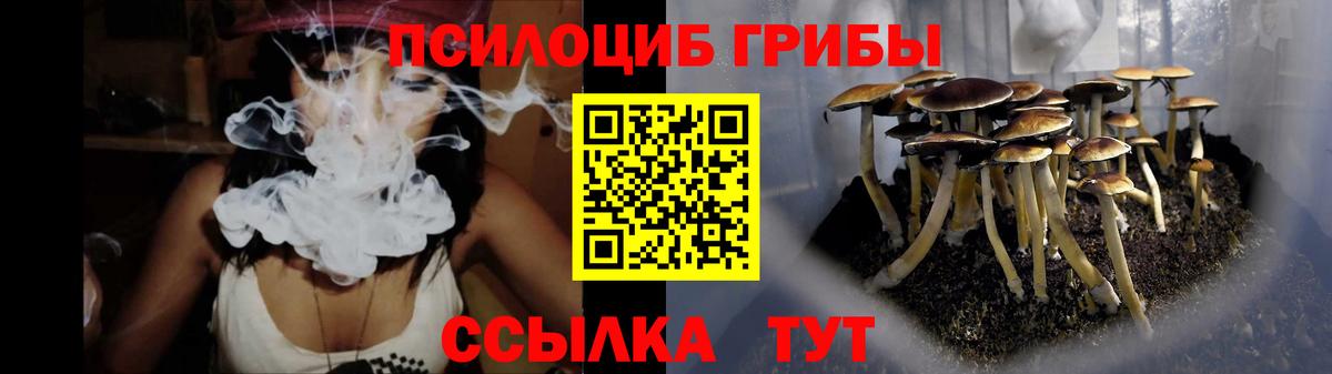 Галлюциногенные грибы мухоморы  Вход с VPN  Галлюциногенные грибы прущие грибы  Кропоткин 